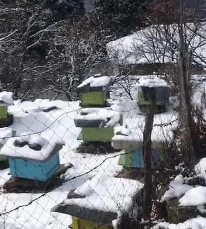 Honey-house “kastrioti” Alloggio in famiglia Përmet