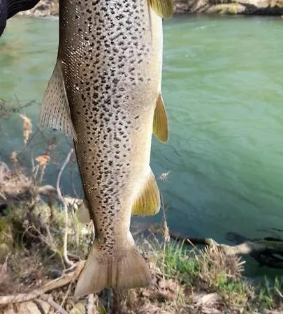 Honey-house “kastrioti” Quarto em Acomodações Particulares Përmet