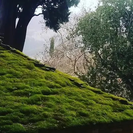 Quarto em Acomodações Particulares Honey-house “kastrioti” *