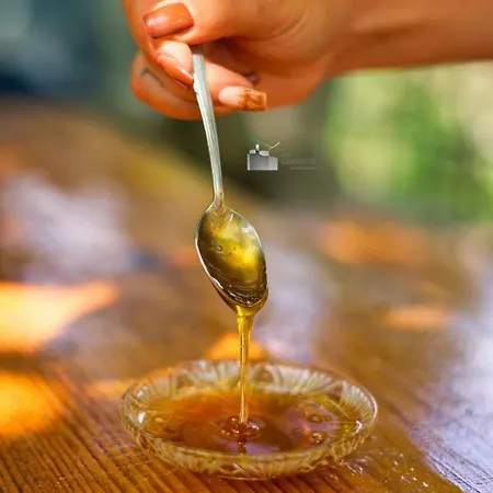 Honey-house “kastrioti” * Përmet