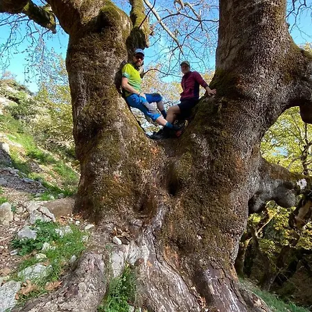 Honey-house “kastrioti” Quarto em Acomodações Particulares *