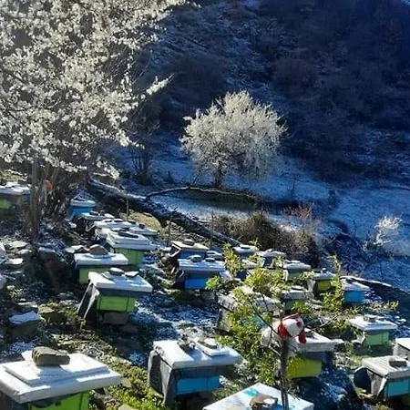 Honey-house “kastrioti”