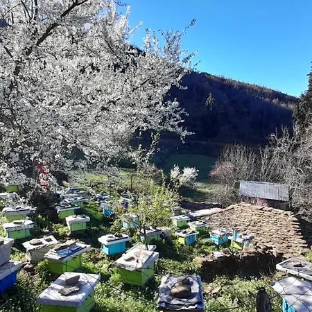 Honey-house “kastrioti” Quarto em Acomodações Particulares