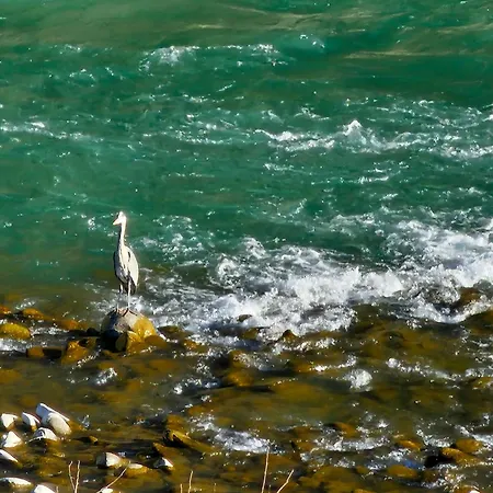 Honey-house “kastrioti”