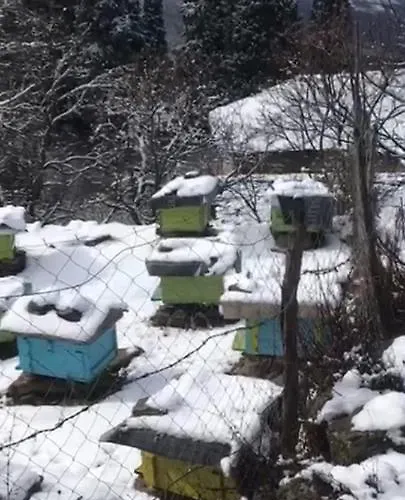 Honey-house “kastrioti” 民宿 Përmet
