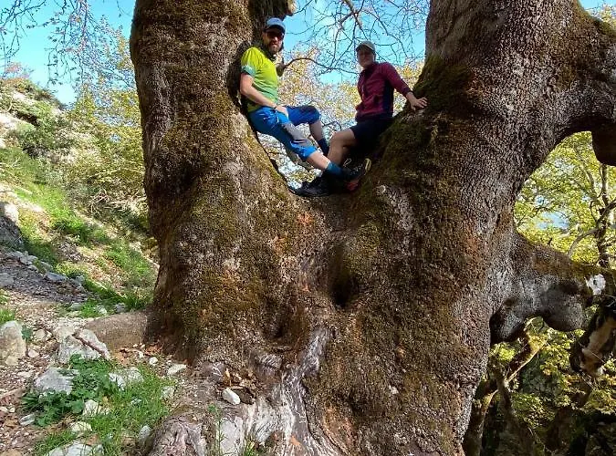 Honey-house “kastrioti” 民宿 *