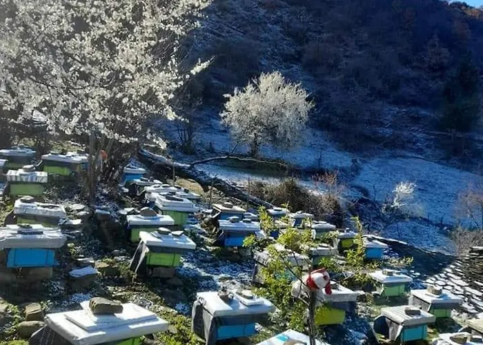 Honey-house “kastrioti”