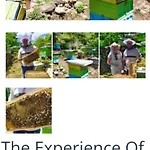 ホームステイ Honey-house Kastrioti Adventures Përmet