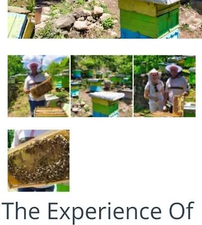 בית אירוח Honey-house Kastrioti Adventures Përmet
