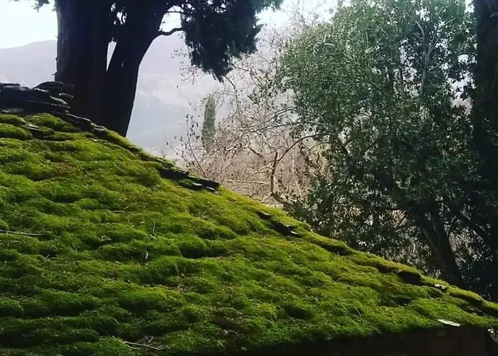 Homestay Honey-house “kastrioti” *