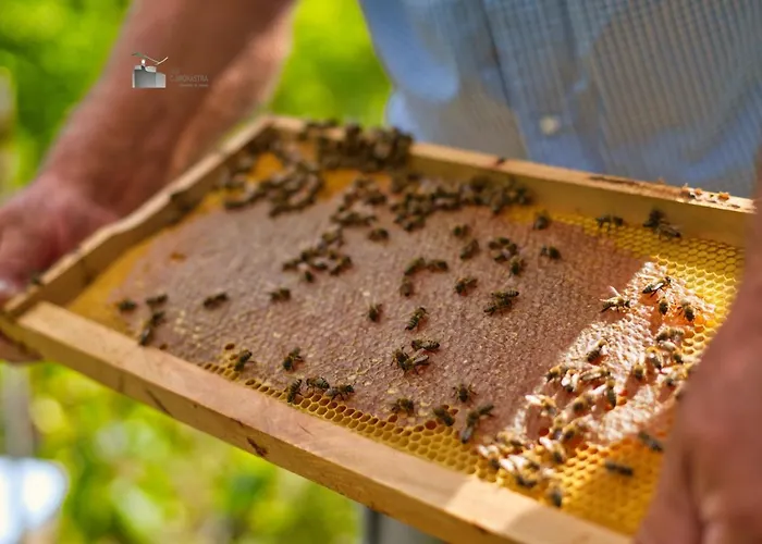 Honey-house “kastrioti”