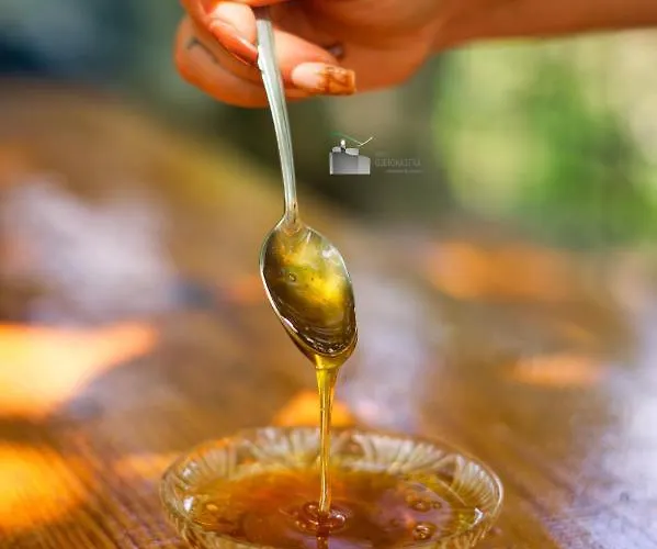 Honey-house “kastrioti” * Përmet